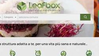 Leafbox, il primo motore di ricerca per vegan