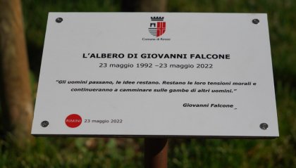 Rimini dedica un albero e una targa a Giovanni Falcone