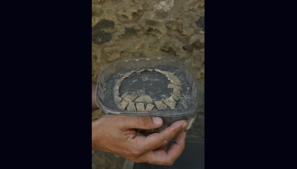 A Pompei è stata ritrovata una tartaruga col suo uovo