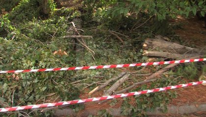 Maltempo San Marino: alberi caduti, disagi e coperture di edifici saltate, ma nessun ferito