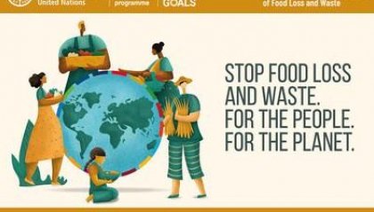 Il Segretario di Stato per gli Affari Esteri interviene alla Giornata internazionale di consapevolezza delle perdite e degli sprechi alimentari
