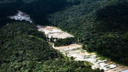 Clima: arriva l'ok Ue allo stop dell'import di prodotti da deforestazione