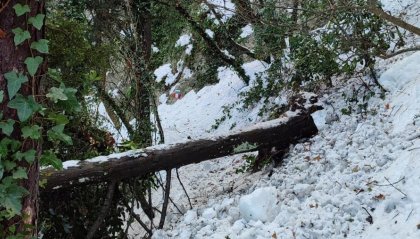 La neve dei giorni scorsi ha danneggiato i sentieri, AASLP al lavoro per ripristinare i danni