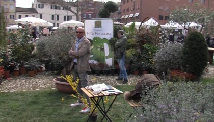 Rimini: tanta gente alla seconda e ultima giornata di Giardini d'Autore