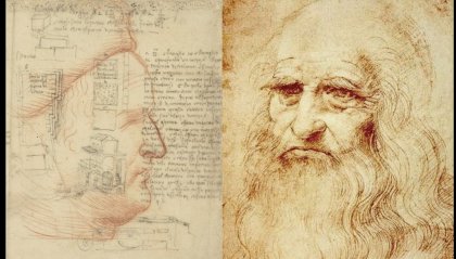 Il volto di Federico Da Montefeltro disegnato da Leonardo Da Vinci
