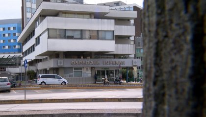 Rimini: ucciso il pesce mascotte del reparto di Pediatria. La Procura apre un' inchiesta