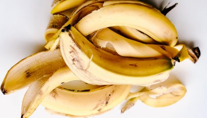 Dalle banane nasce il Kuori