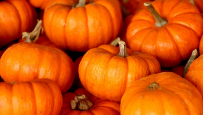 Pumpkin fever: il prezioso frutto anti-age