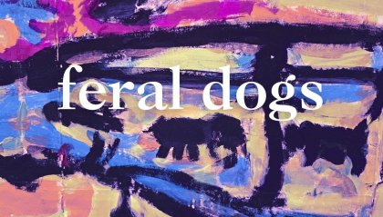 Slow Writer: "Feral Dogs"