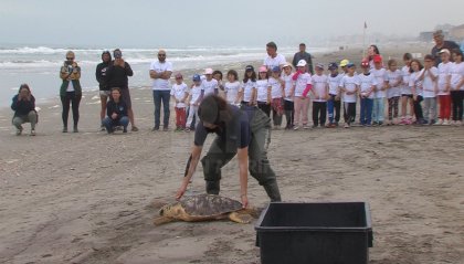 La tartaruga Namastè torna in mare: il progetto Marlù RicaricAmore a sostegno dell'ambiente