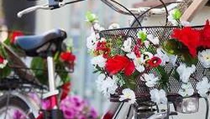 Biciclette in Fiore:Attacchi D'arte in Città