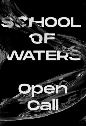 School of Waters: appuntamento alla Galleria Nazionale il 20 con gli under 35
